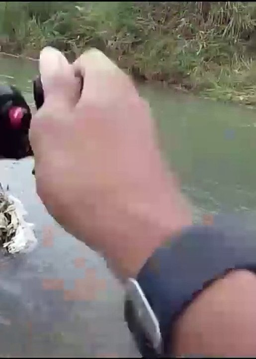 Langsung disambar