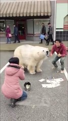 Kuchh Kamaal Ke Magic 😲✨  Mind-Blowing Trick 🤯🔥