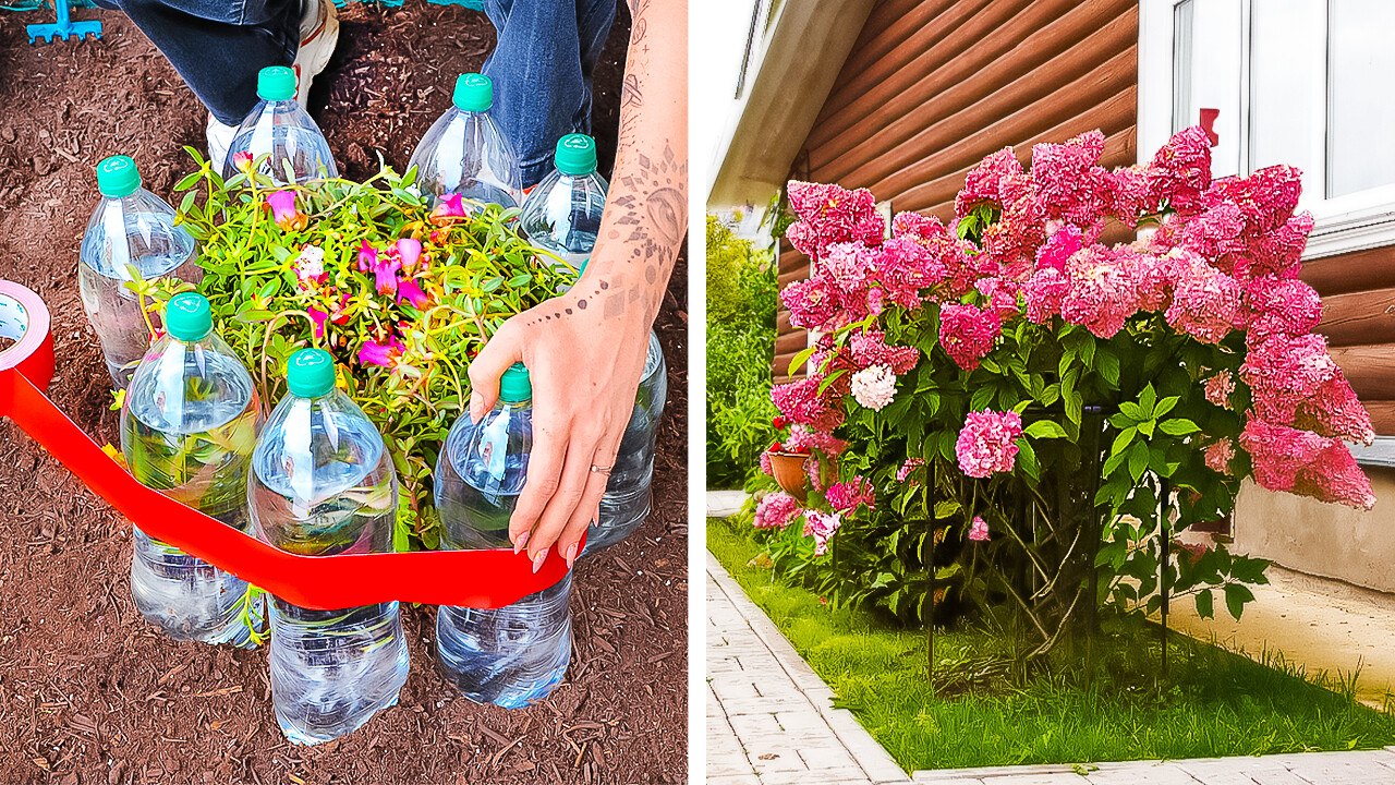 Gardening Hacks: Planting Techniques and Plastic Bottle Ideas for Plants 🍀