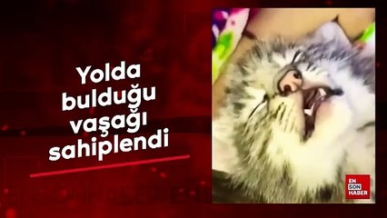 Yolda bulduğu vaşağı sahiplendi