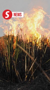 Farm fires raging in neighbouring Punjab as Delhi chokes on smog