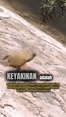 Keyakinan adalah awal dari usaha, tapi kenyataan sering mengajarkan bahwa hasil tidak selalu sejalan dengan harapan