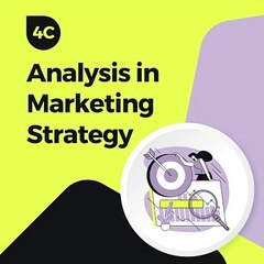 09 - Analysis in Marketing Strategy