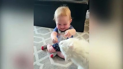 Cutest Babies Play With Dogs And Cats Compilation __ Cool Peachy - Trim