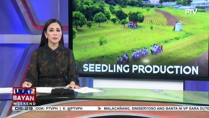 Seedling production campaign para sa mas maraming ani, isinusulong
