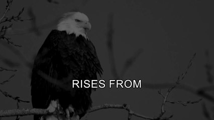 Be the Phoenix Rise Stronger - Motivation Speech