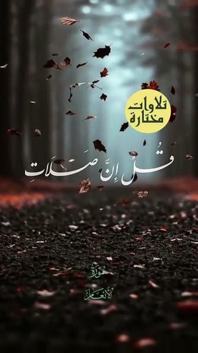 يارب ♥♥ . #quran #عبدالناصر_حرك #قران #الشيخ_عبدالناصر_حرك