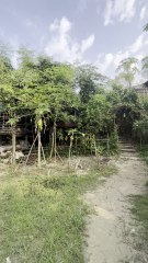 Prakritik Krishi Kendro and Biodiversity Farm