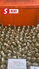 Six arrested in Ipoh ketum raid