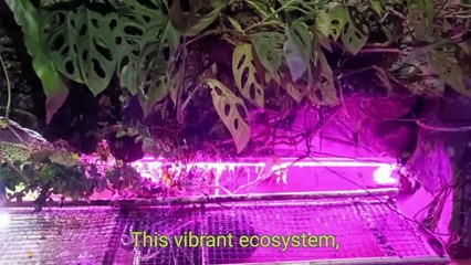 90 Days of Survival in the Amazon Rainforest - A Fierce Battle with Nature    #survivalchallenges