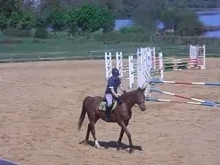 CSO CHOLET 25 avril 2008