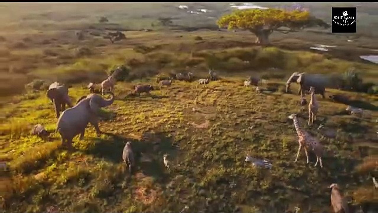 Mufasa _ The Line King  Hindi Trailer