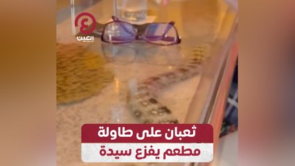 ثعبان على طاولة مطعم يفزع سيدة