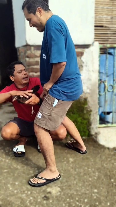 Mang Ucky - Jail ayam