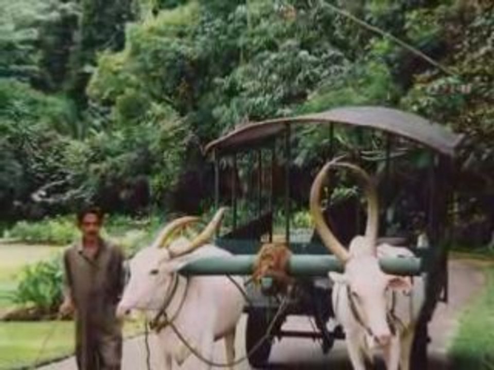 SRI LANKA 08 2002