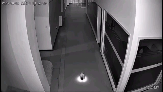 JUST IN: 🇨🇳 Tiny AI-powered robot named Erbai kidnapped 12 larger robots from a showroom in Shanghai, China.