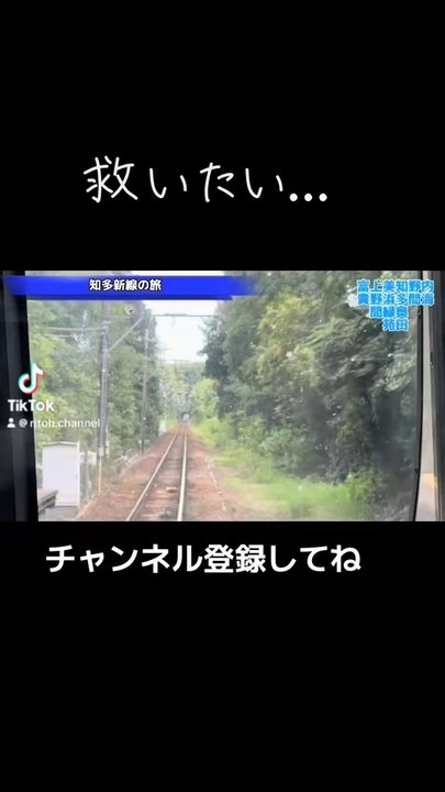 今日の最新動画