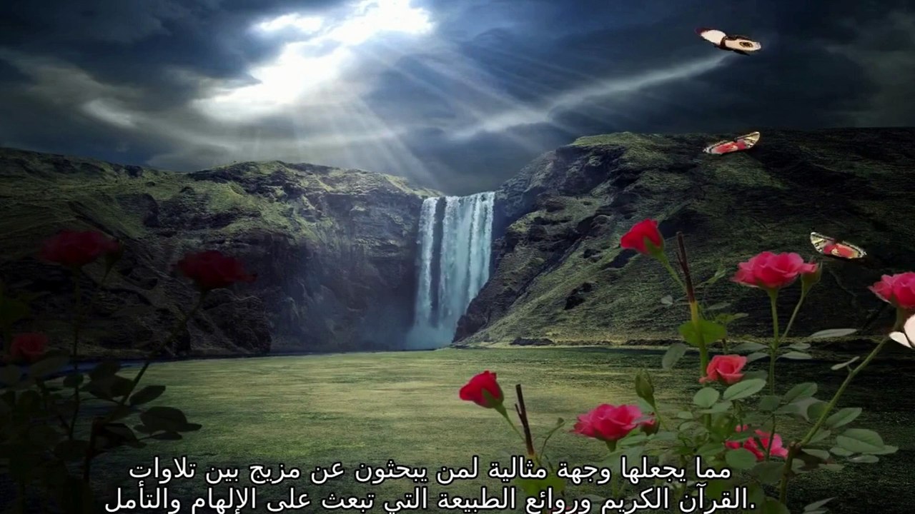 قران صوت قران يبكي تلاوة خاشعة قناة علي الفرهود القران الكريم