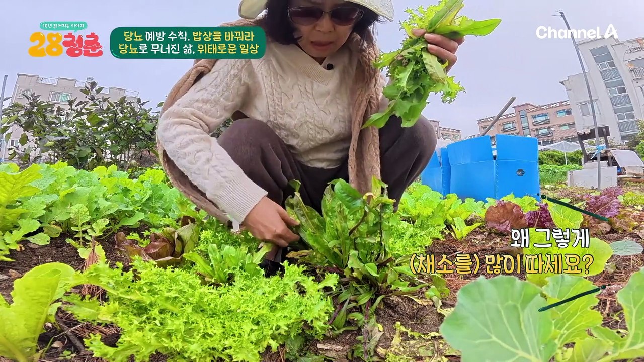 엄마에 이어 딸도 당뇨병 진단을 받았다?! 딸에게 미안한 엄마의 당뇨 특급 케어★