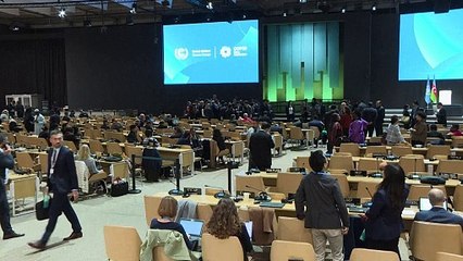 COP29 alcança acordo de US$ 300 bi em financiamento climático para países em desenvolvimento