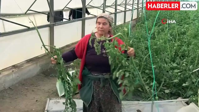 Antalya'da Hortum Felaketi: Evler ve Seralar Zarar Gördü