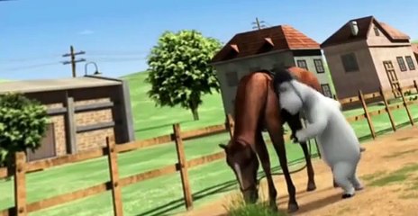 Bernard Bernard S03 E005 Horse Training
