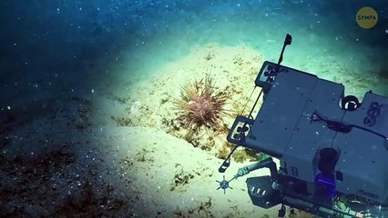 La NASA recherche quelque chose sous l'OCÉAN PROFOND (Oumuamua pourrait en être