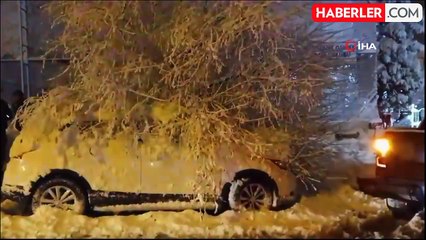 Bilecik'te Park Halindeki Otomobilin Üzerine Ağaç Devrildi