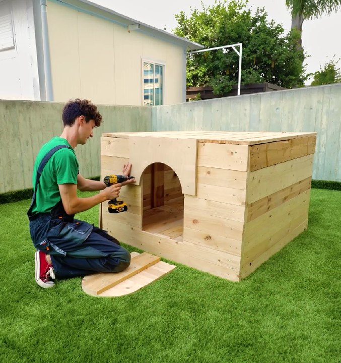Découvrez les étonnantes maisons douillettes pour chiens qu'il a construites : Parfaites pour que les animaux de compagnie s'y détendent !