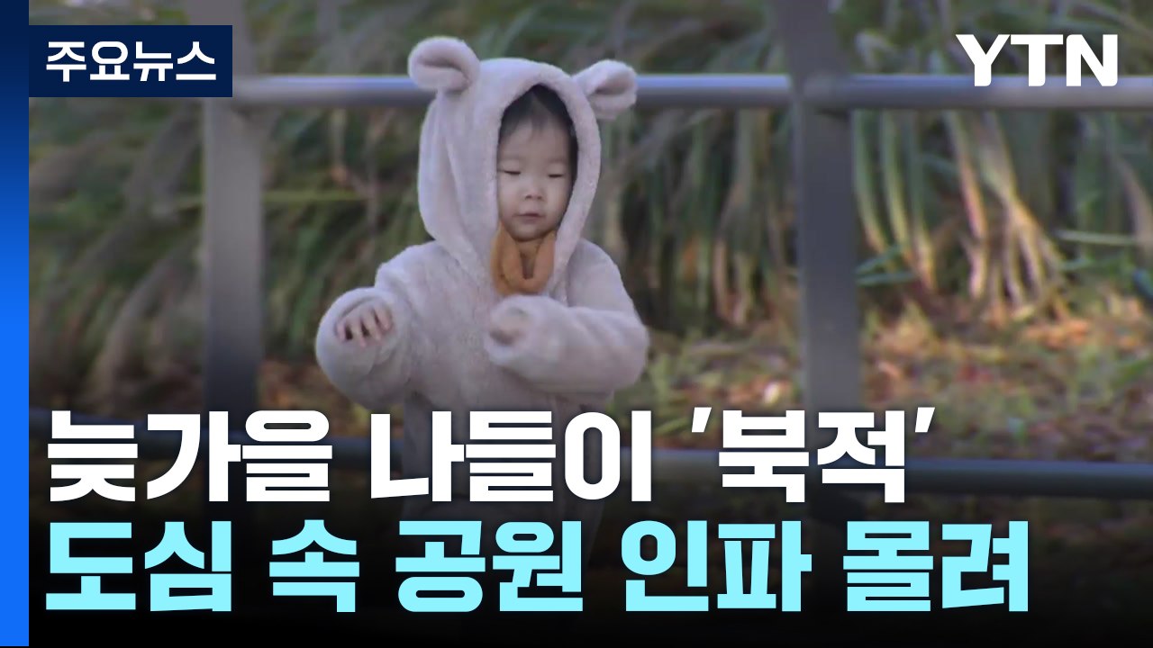 "늦가을 정취 즐겨요"...도심 대공원 나들이객 북적 / YTN