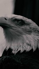 No Limits, Only Possibilities - Motivation Speech