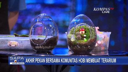 Yuk, Simak Keseruan Menghias Terrarium dengan Pernak-Pernik Lucu Bersama Terramori