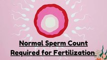 Normal Sperm Count in Semen | Minimum Sperm Count for Fertilization Explained
