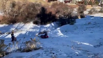 Funniest Fails of The Week Unexpected and Hilarious 2024