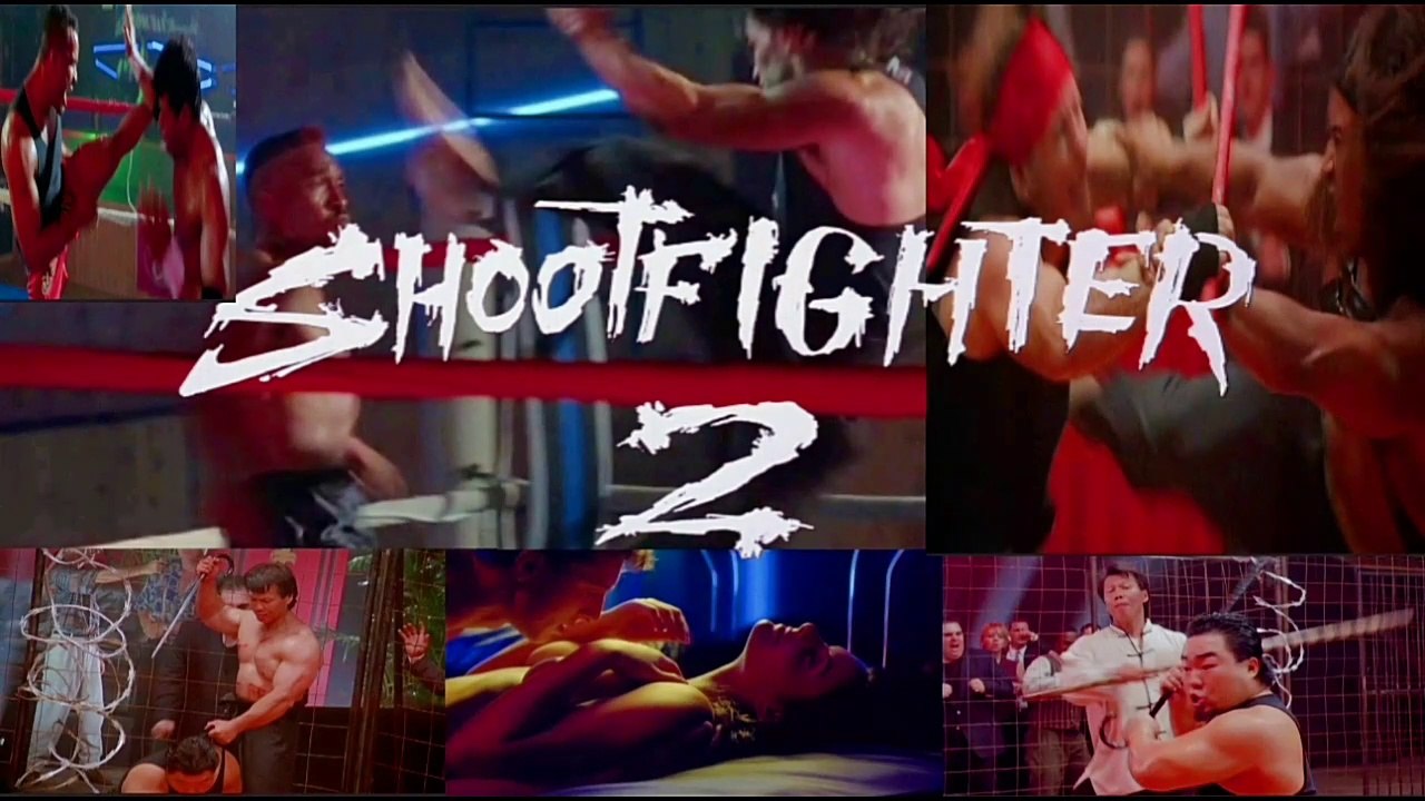 ShootFighter 2