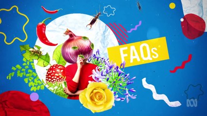 Gardening Australia 2024: Episode 35 – Expert Tips & Garden Inspiration 🌿