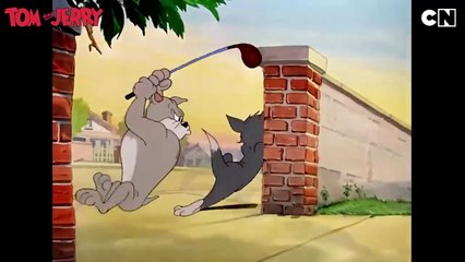 #TomandJerry_-_Tom_s_Epic_Fails_-_1___Tom_and_Jerry_Cartoon___only_on_Cartoon_Network_India(0)