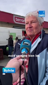Des poules sauvées de l'abattoir