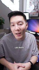 Du bon matériel rapport qualité prix chez Zhiyun X60 M20C 90D