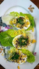 ✨ Oeufs mimosa de Mamie