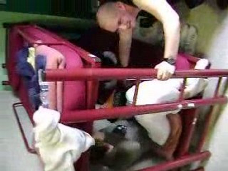 Guillaume and Isabelle