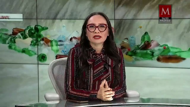 Profepa asegura a 76 reptiles y anfibios gracias a la alerta de una paquetería | Milenio Hábitat