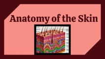 Types of Epithelium in Skin | Complete Detailed Lecture