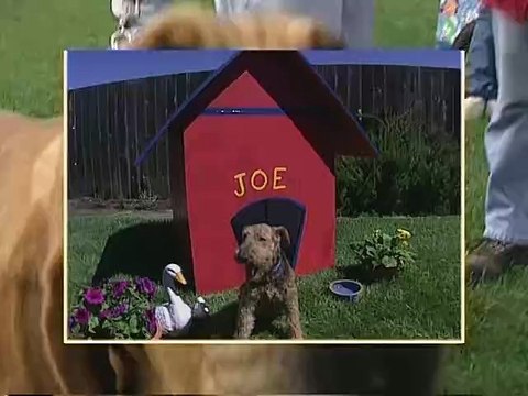 Heres Looking at You Kid -SD