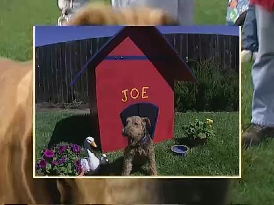 Heres Looking at You Kid -SD