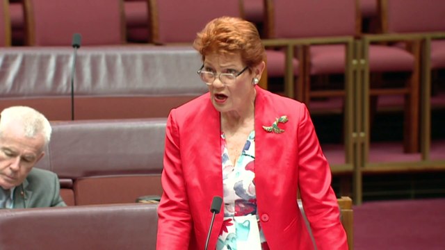 Senator Fatima Payman accuses One Nation leader of racism in Senate