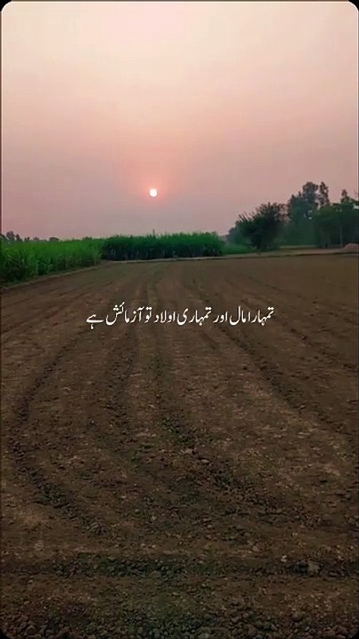 Islamic shorts clips