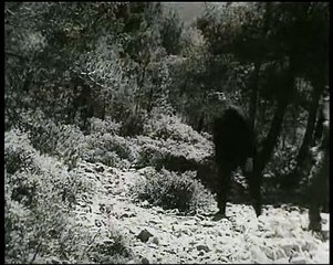 Nais (Marcel Pagnol, Fernandel) 1945