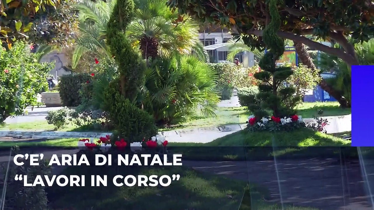 Rtp telegiornale