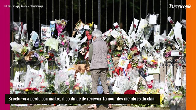 Alain Delon : Sa petite-fille Liv paisible à Douchy, Anthony dévoile de belles images depuis la forteresse